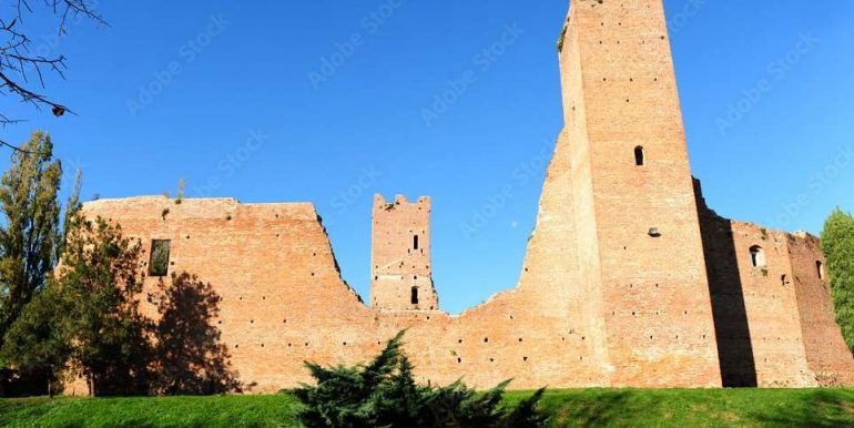 imm_13147-20250207112058-964-
