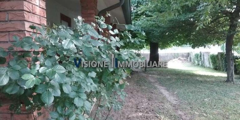 imm_14024-20260204120318-800-