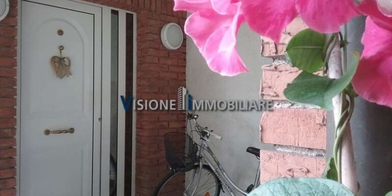 imm_14029-20260204120255-800-